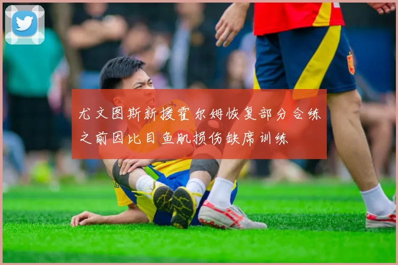 尤文图斯新援霍尔姆恢复部分合练之前因比目鱼肌损伤缺席训练